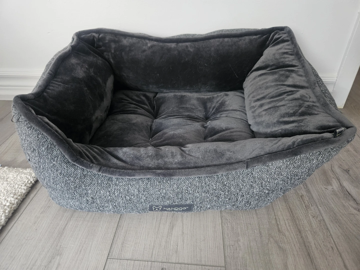 Small Dog Bed 🥕