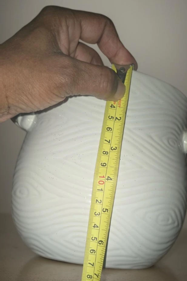 White Ceramic vase or centerpiece with Handles - photo 2