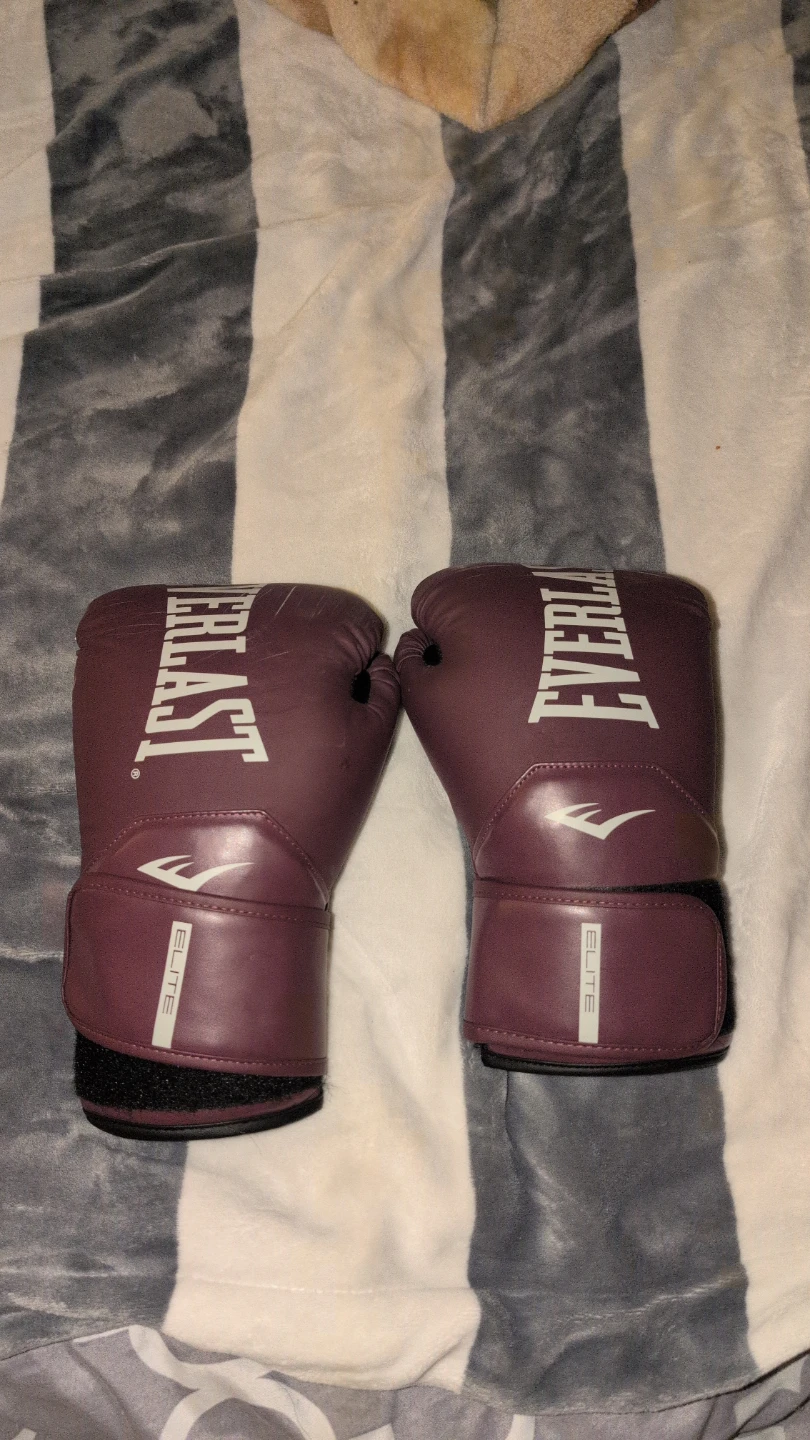 Everlast Elite Boxing Gloves 14 oz - Burgundy
