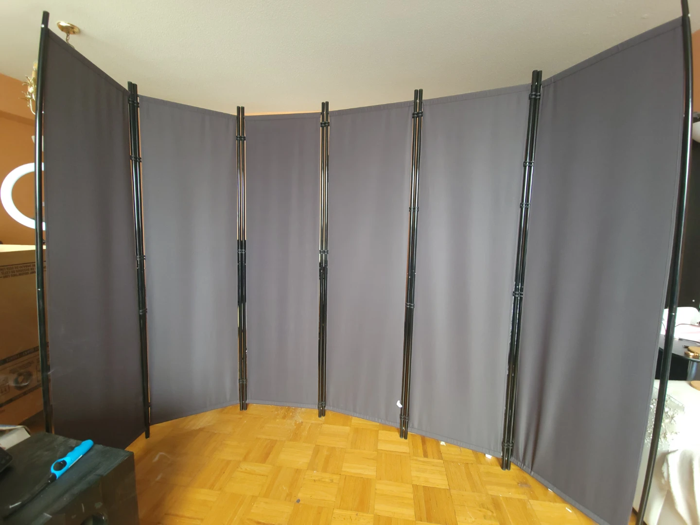 6-Panel Room Divider Screen