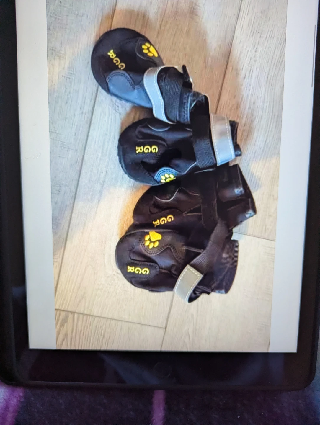Set of 4 Black Dog Boots
