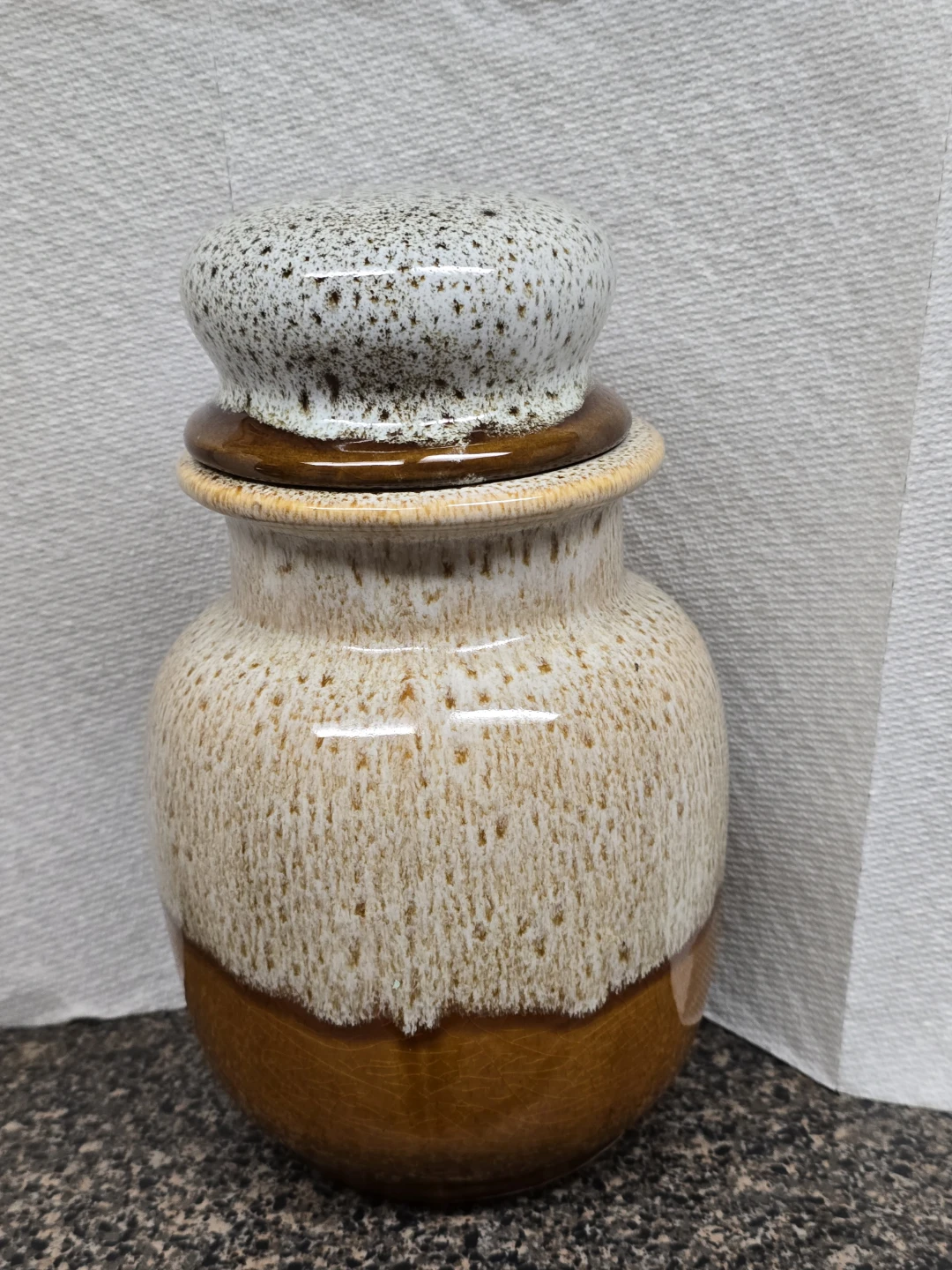 Vintage Ceramic Jar with Lid 9" long