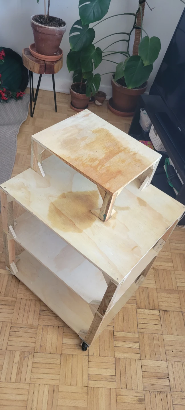 Wooden Rolling Cart with 3 Shelves