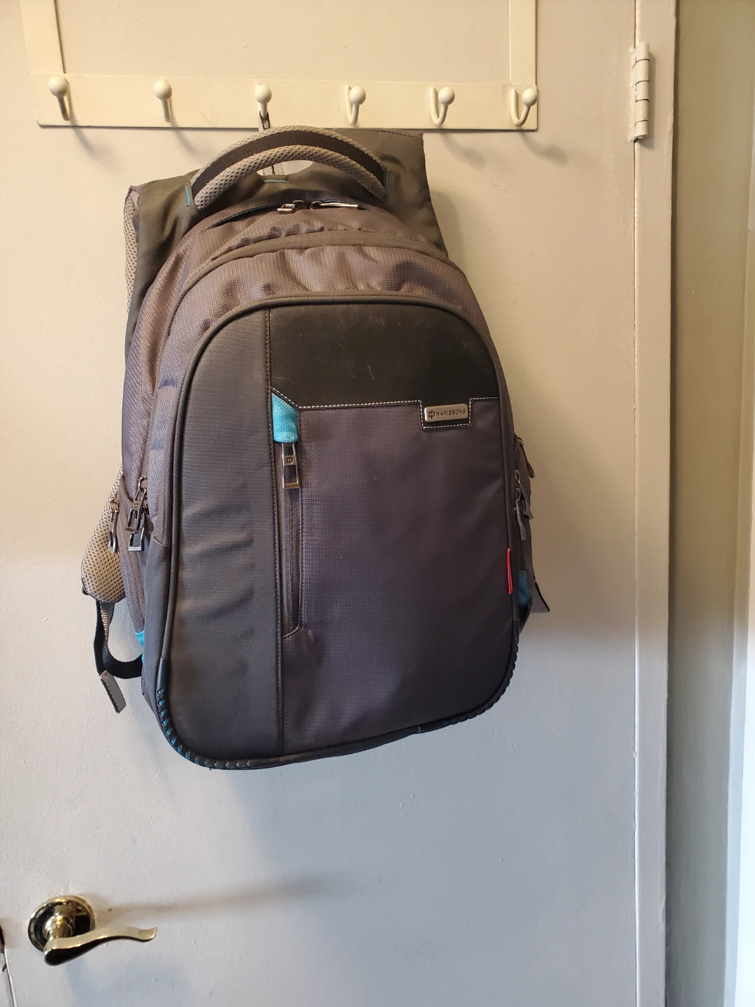 Harissons  Laptop Backpack