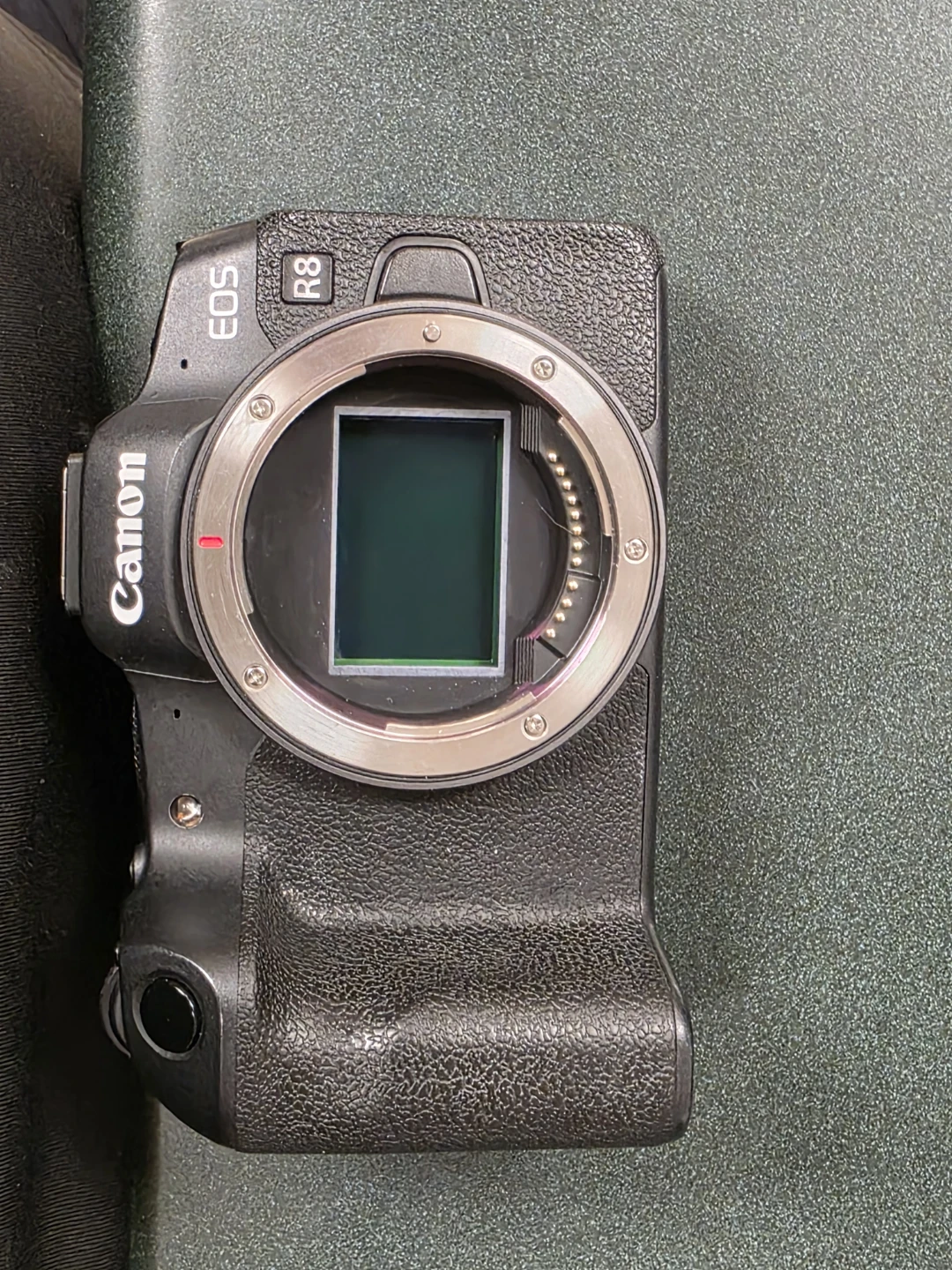 Canon EOS R8 Mirrorless Camera - photo 3