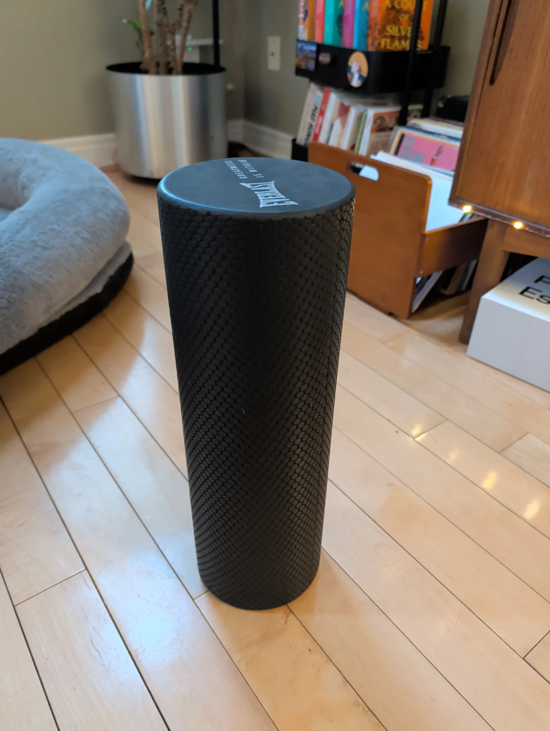 Everlast Foam Roller