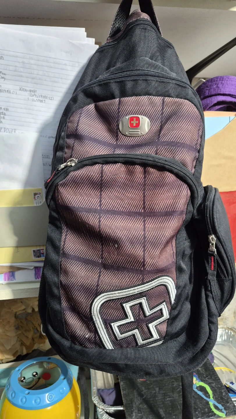 Swiss Gear Sling Bag