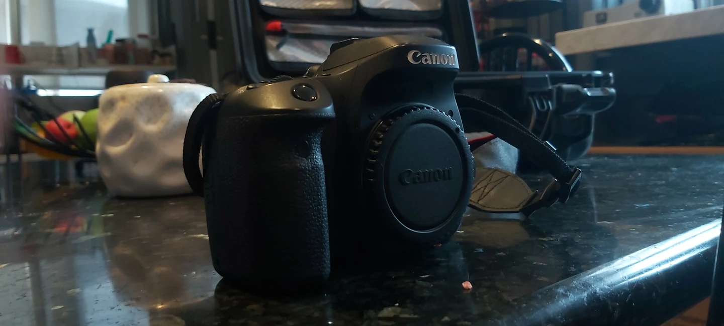 Canon EOS 80D professional with the kit - photo 4