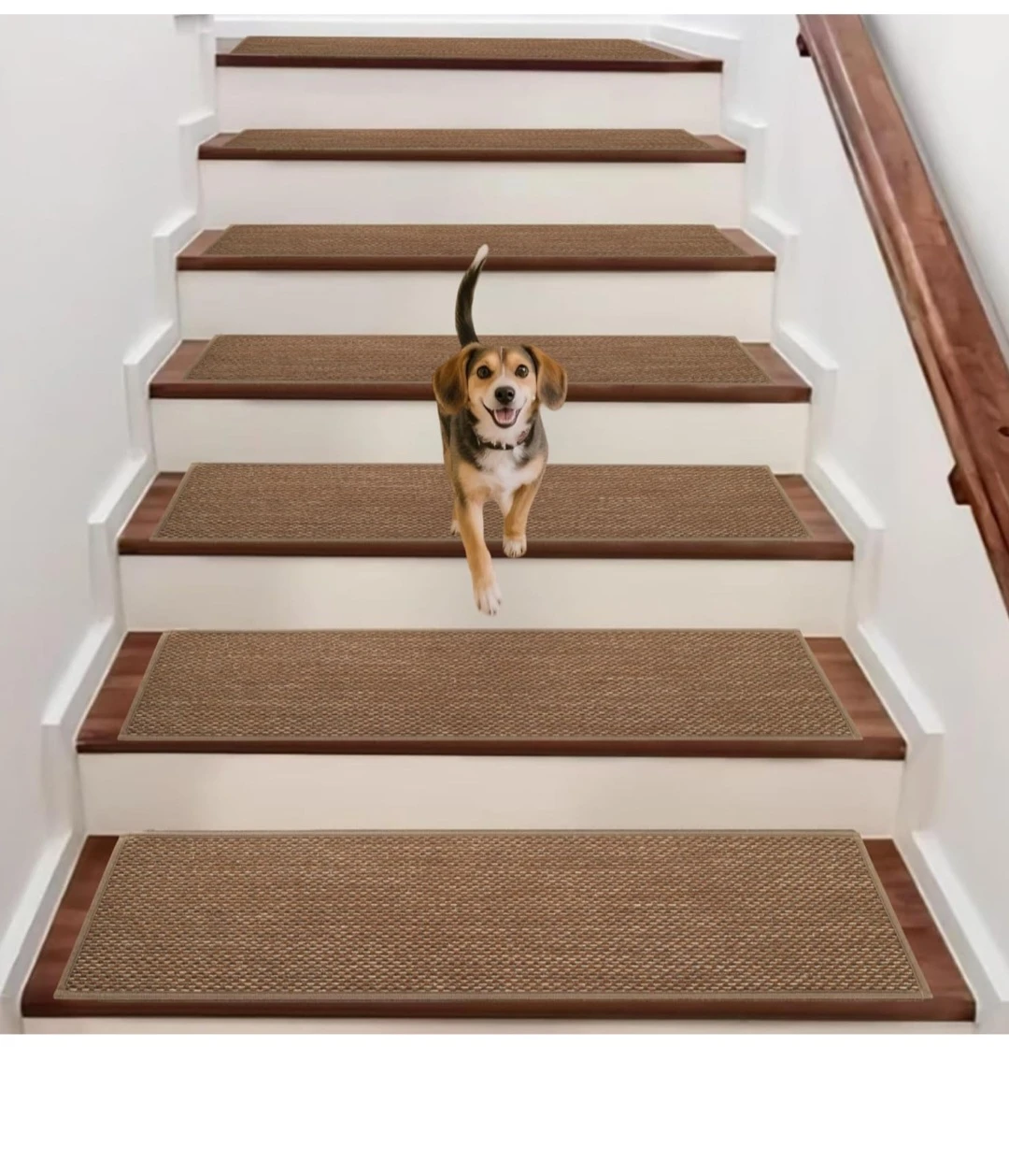 Non-Slip Stair Treads (Set of X)