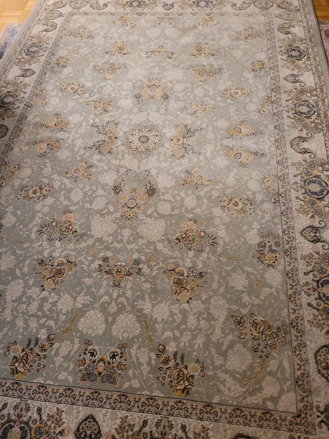 Persian Area Rug in Excellent condition $260