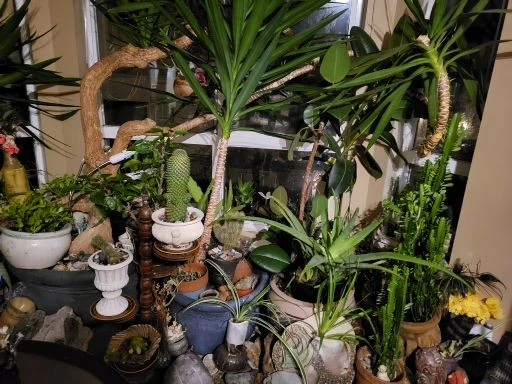 Big gradge sale. Moving - photo 5