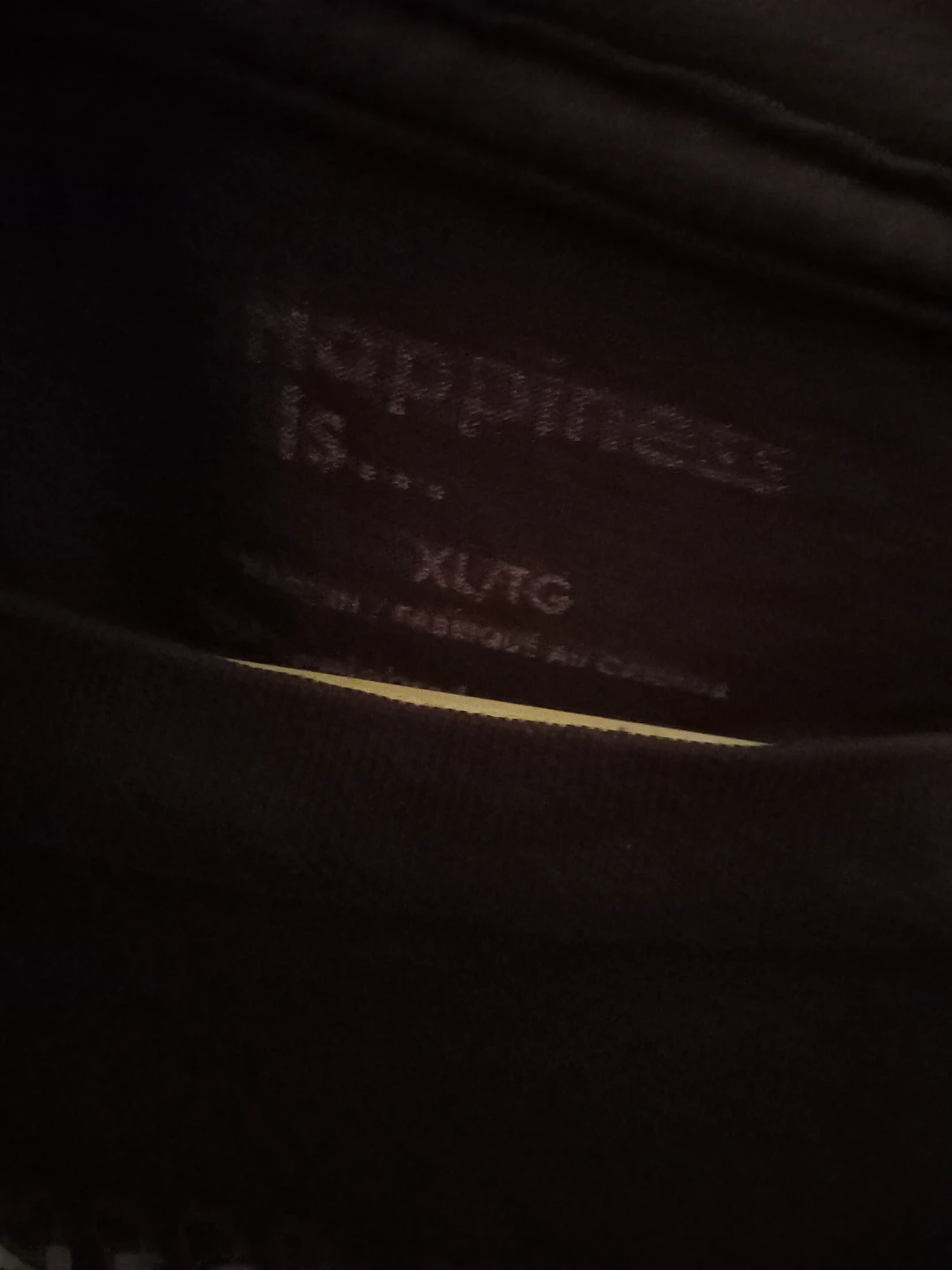Happiness is Niagara Falls Canada T-Shirt XL/TG - photo 3