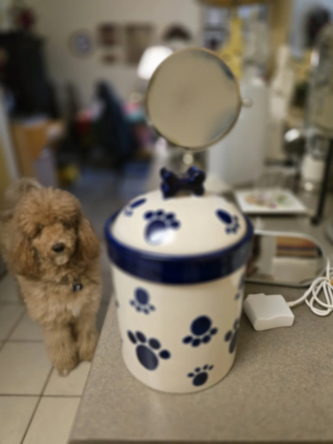 Ceramic Pet Treat Jar with Paw Print Design