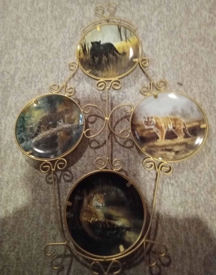 Bradford Exchange Collector Plates In Wall Frame!