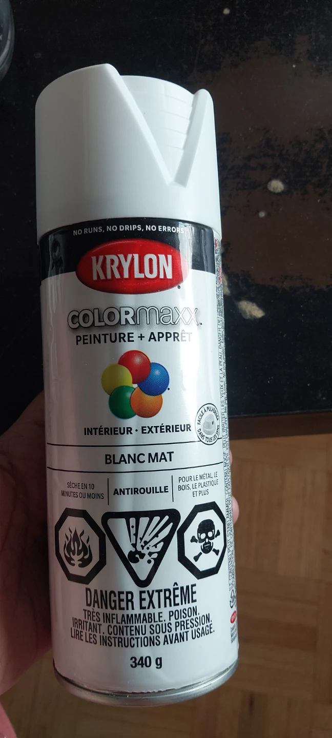 Krylon ColorMaxx Flat White Paint + Primer Spray Paint (340 g)