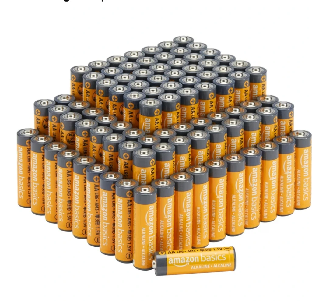 100 Count (Pack of 1) AA High-Performance Alkaline Batteries