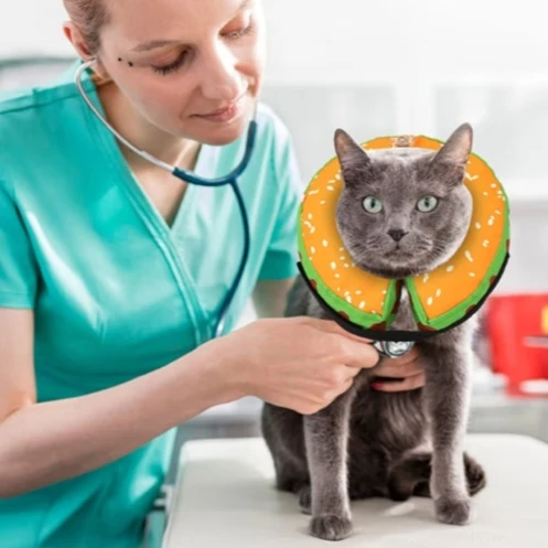 NEW!  Inflatable Recovery Collar for Pets 🧡 - photo 3