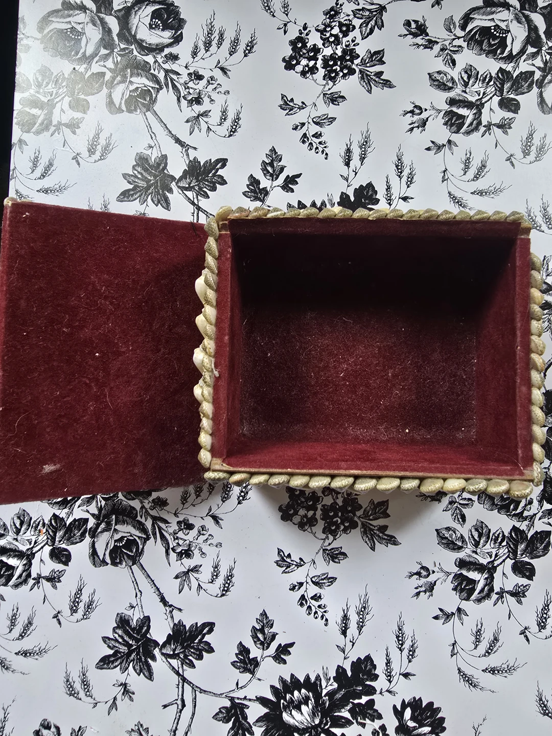 Vintage Shell-Encrusted Folk Art Jewelry Trinket Box - photo 2