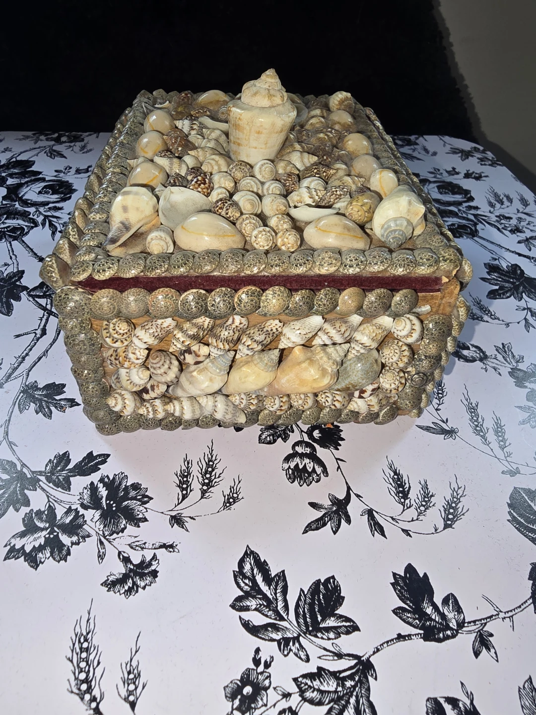 Vintage Shell-Encrusted Folk Art Jewelry Trinket Box - photo 4