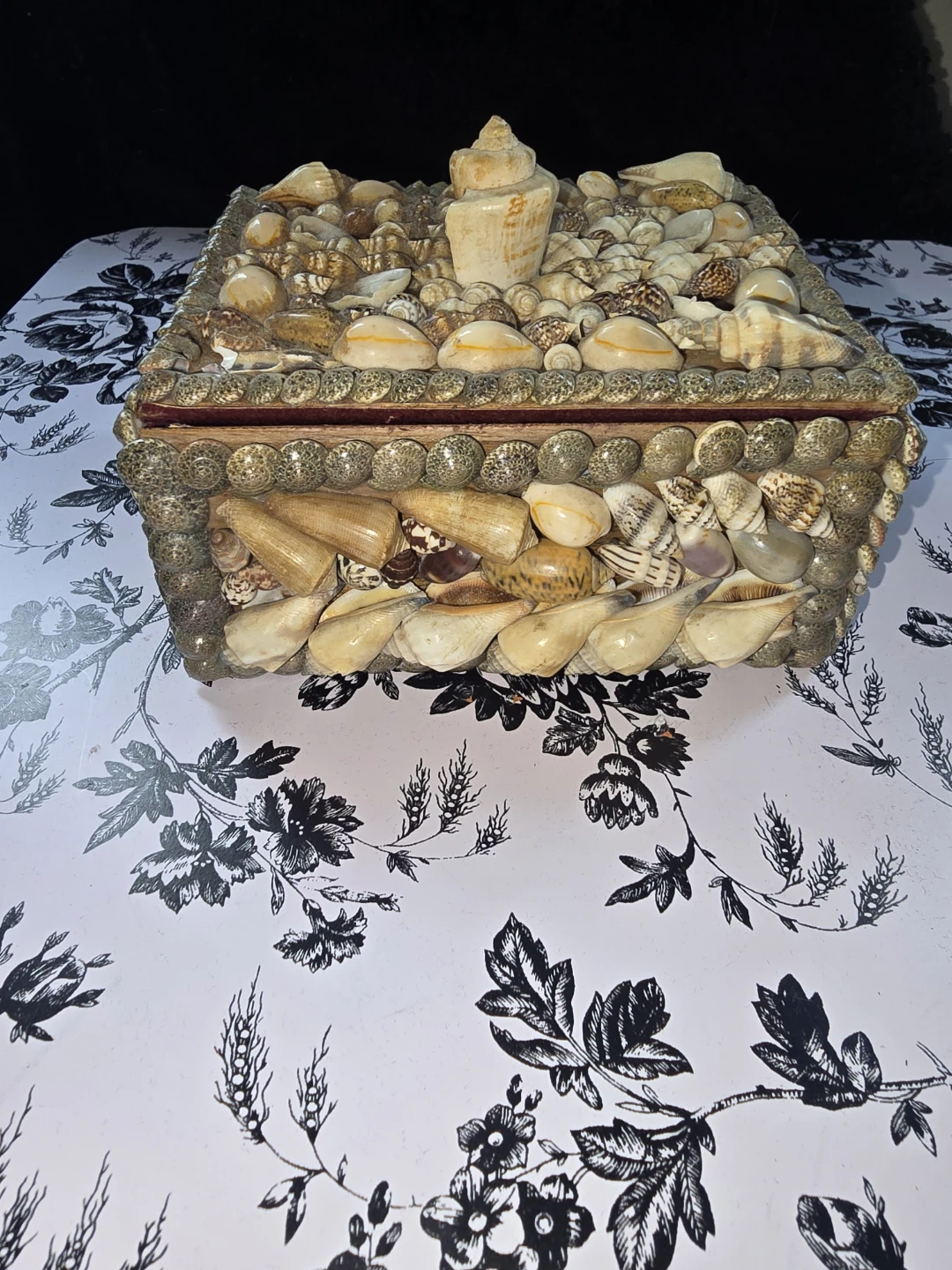 Vintage Shell-Encrusted Folk Art Jewelry Trinket Box - photo 5