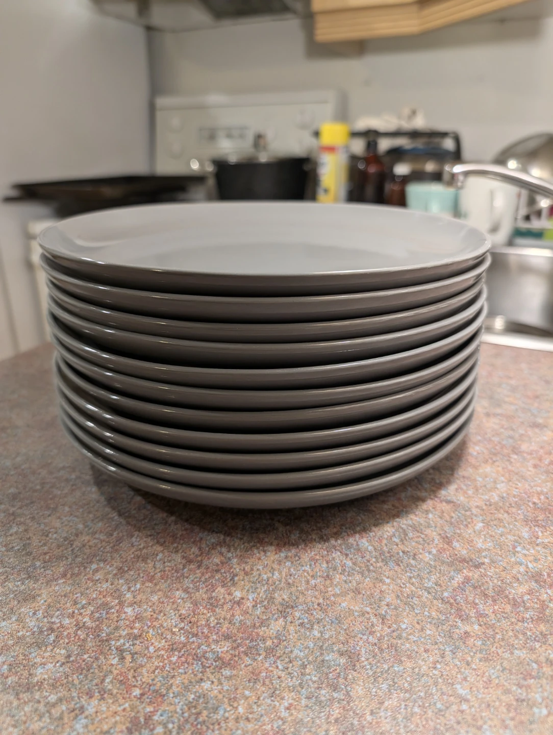 Master Chef Grey Dinner Plates