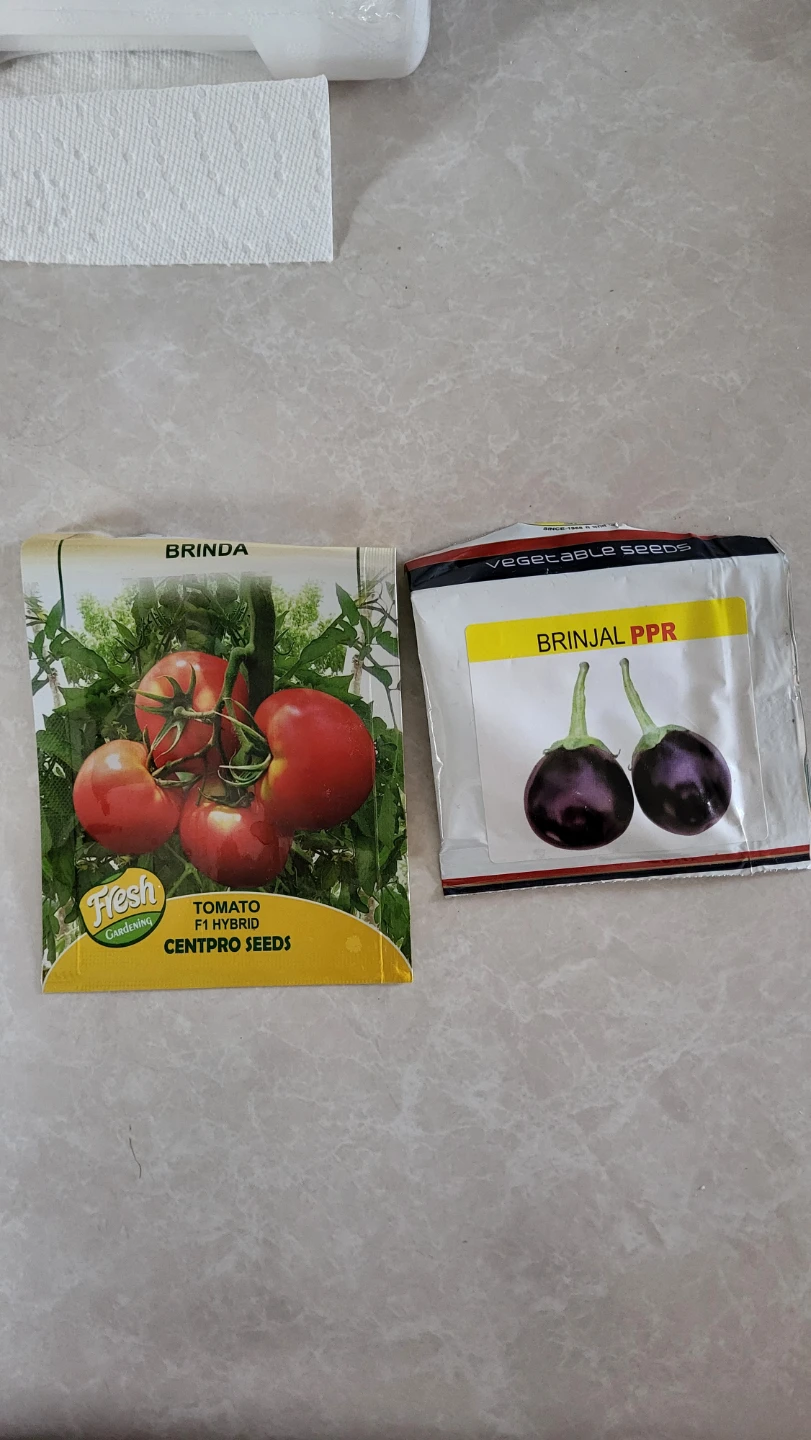 Tomato & eggplant seeds