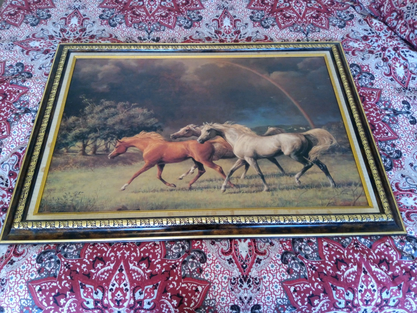 Framed Print of Three Horses with Rainbow