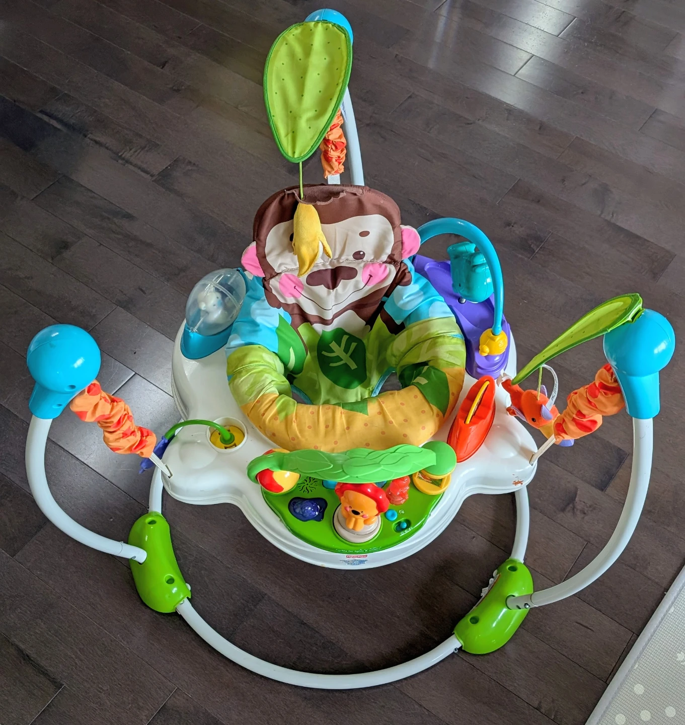 Fisher-Price Jumperoo Rainforest | Used Item
