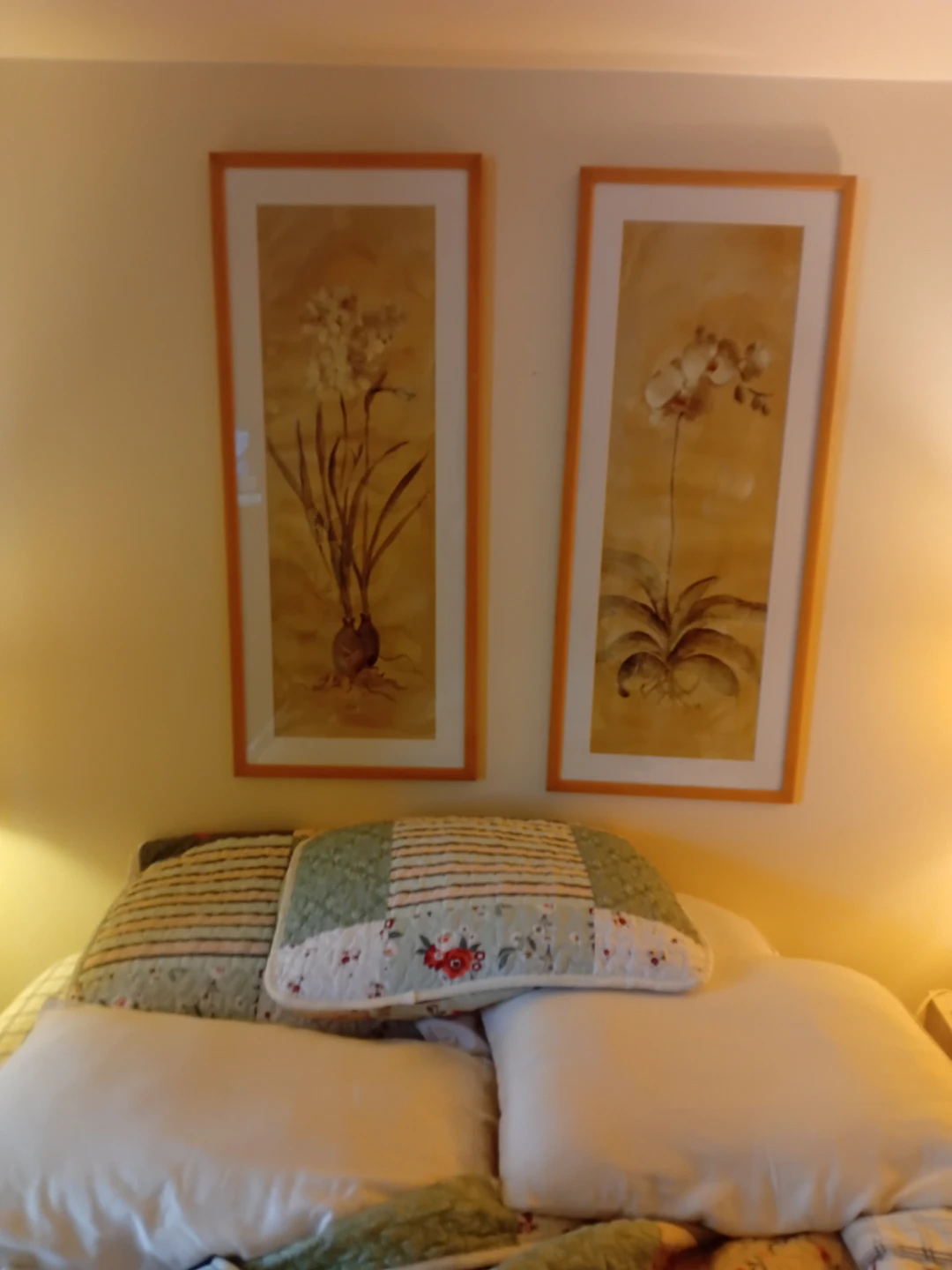 Set of 2 Framed Botanical Prints - photo 3