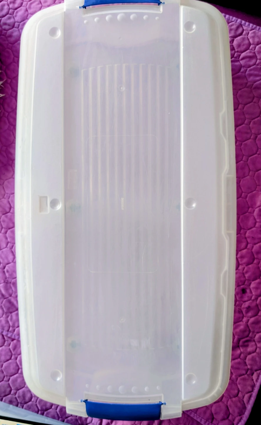 Clear Plastic Storage Bin with Blue Handles