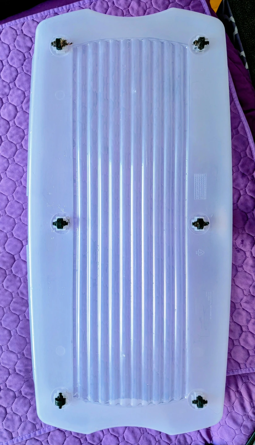 Clear Plastic Storage Bin with Blue Handles - photo 3