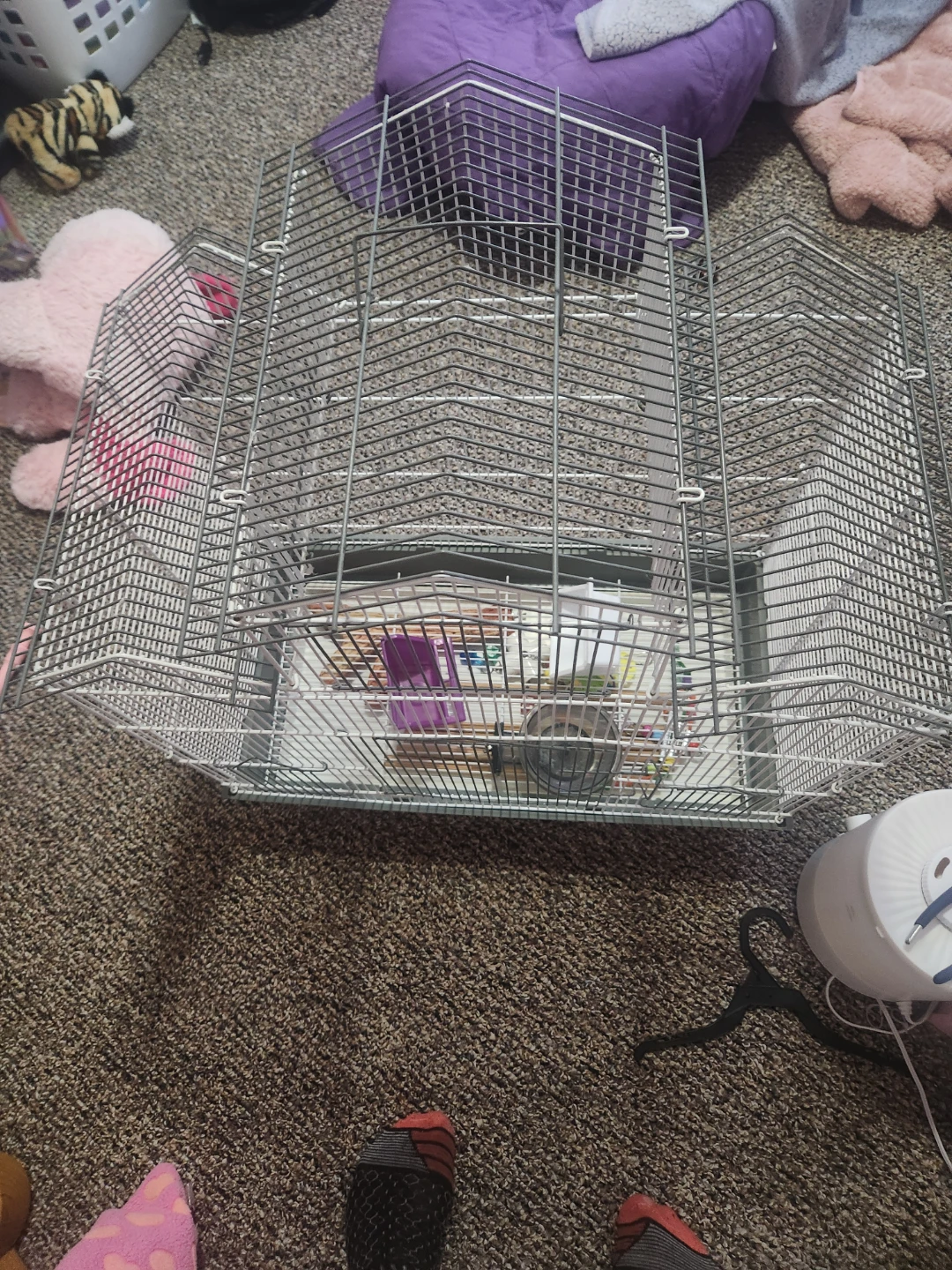 Bird Cage and Accessories