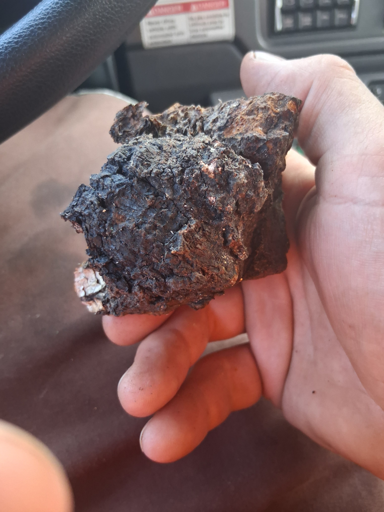 Piece of Chaga Mushroom - photo 2