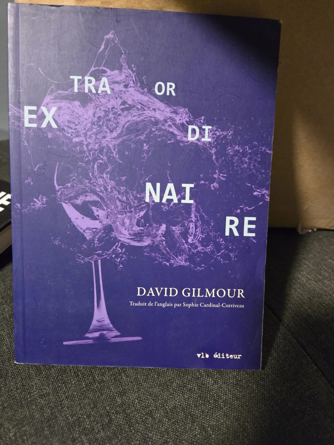 Extraordinary, David Gilmour Book: Francàs