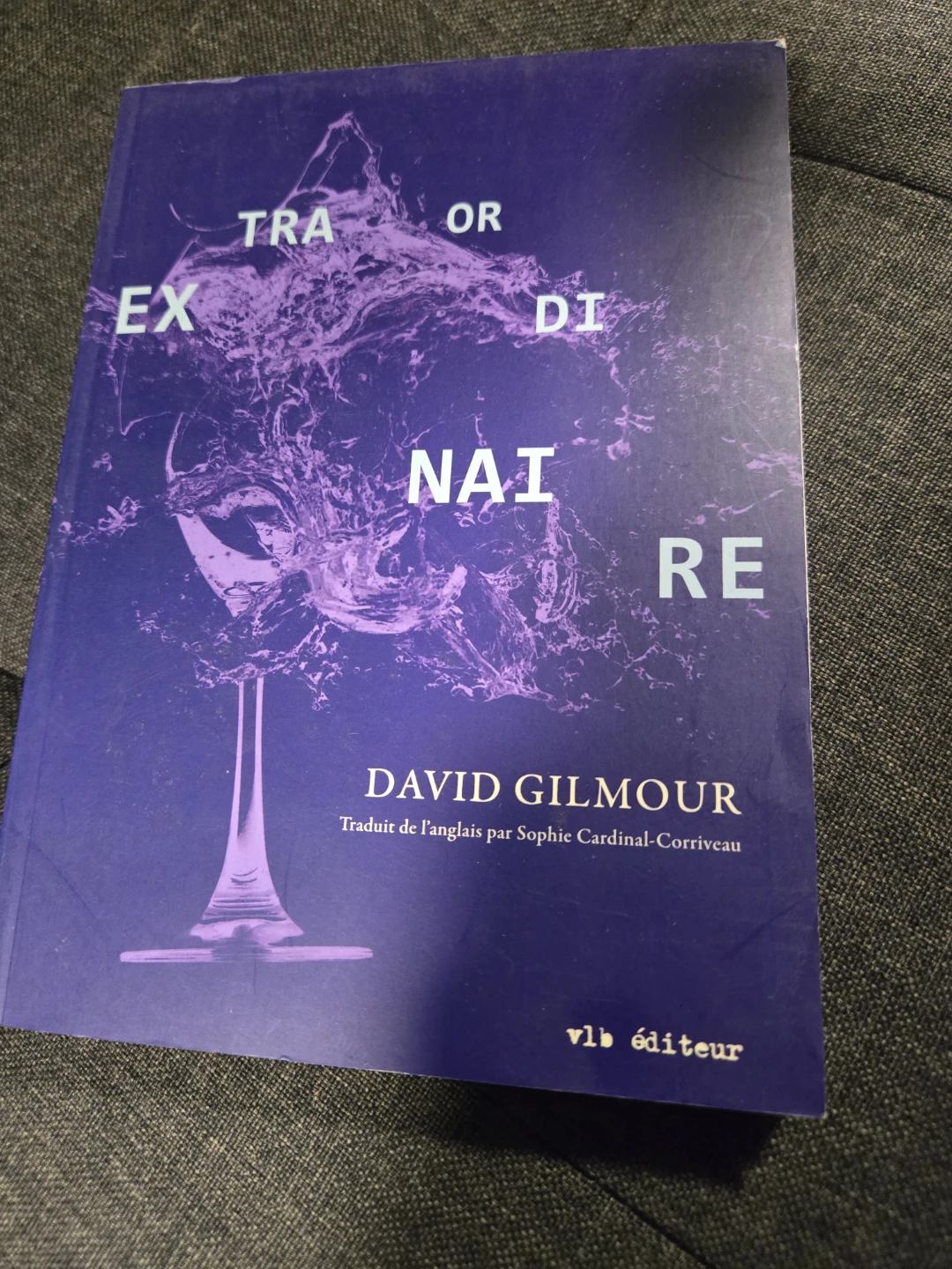 Extraordinary, David Gilmour Book: Francàs - photo 2