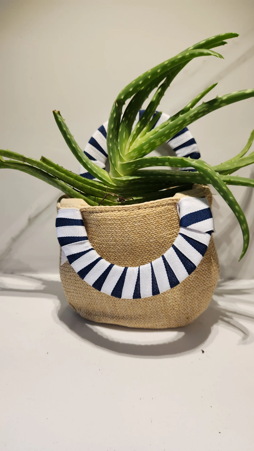 🏖️🌿 Mini Beach Bag Planter – Summer Vibes All Year! 💙
