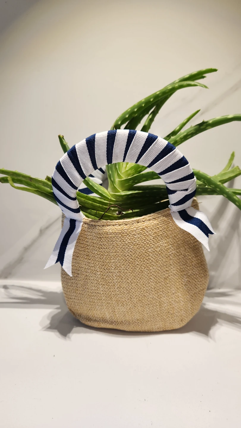 🏖️🌿 Mini Beach Bag Planter – Summer Vibes All Year! 💙 - photo 2