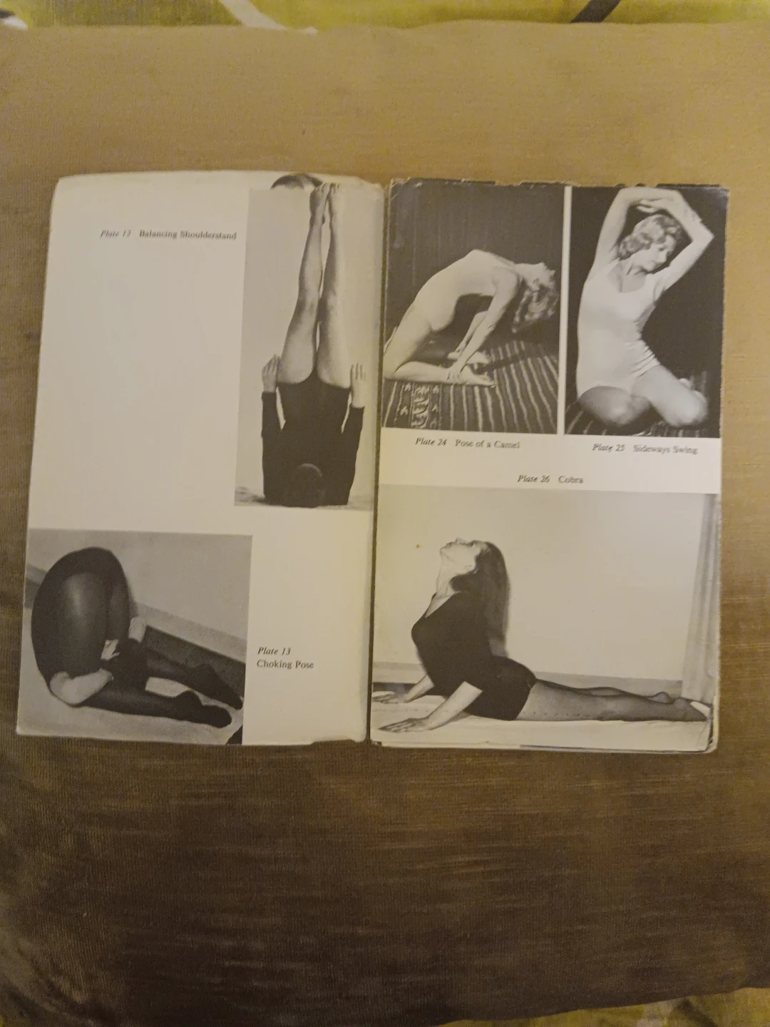 Yoga for Women Book by Nancy Phelan & Michael Voli - photo 3