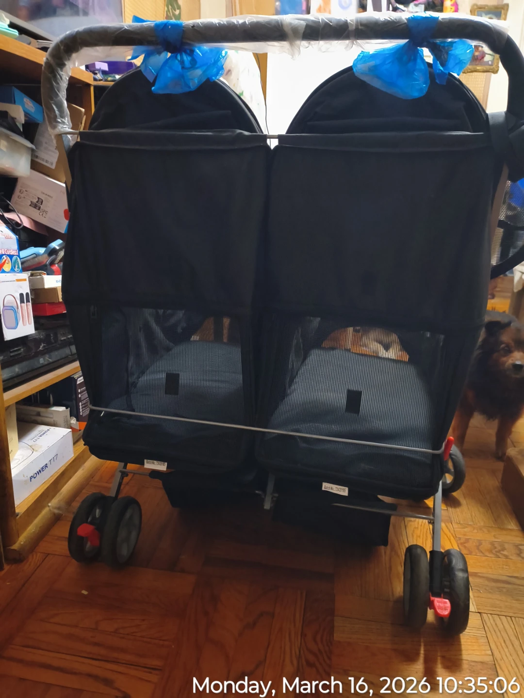 Double Stroller - photo 4