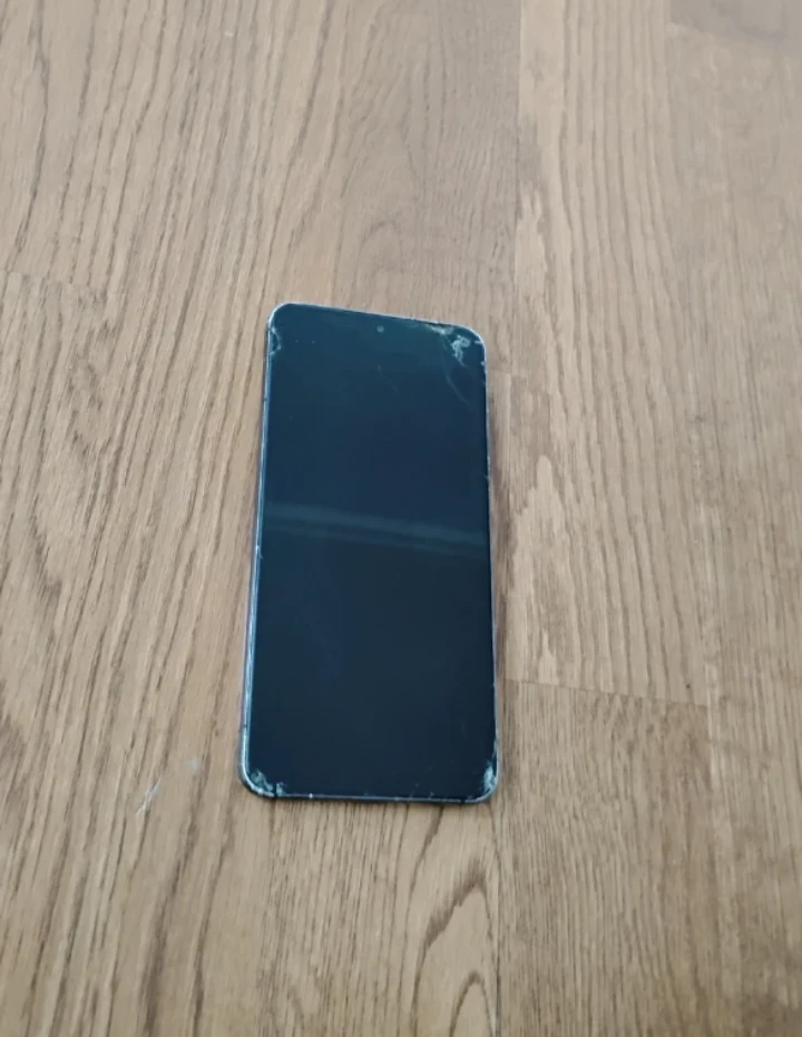 Samsung Galaxy S22 🥕
