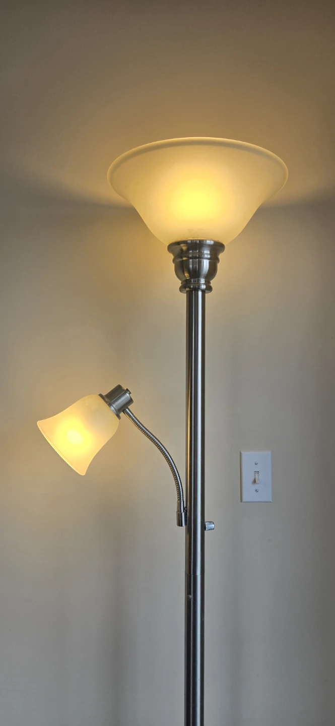 Brushed Nickel Floor Lamp with Adjustablr Reading Light