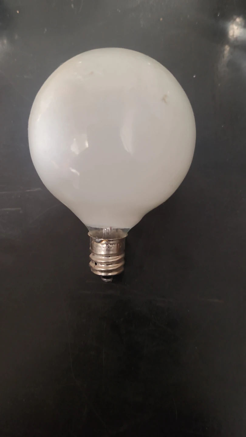 Frosted Globe Light Bulb🥕🥕