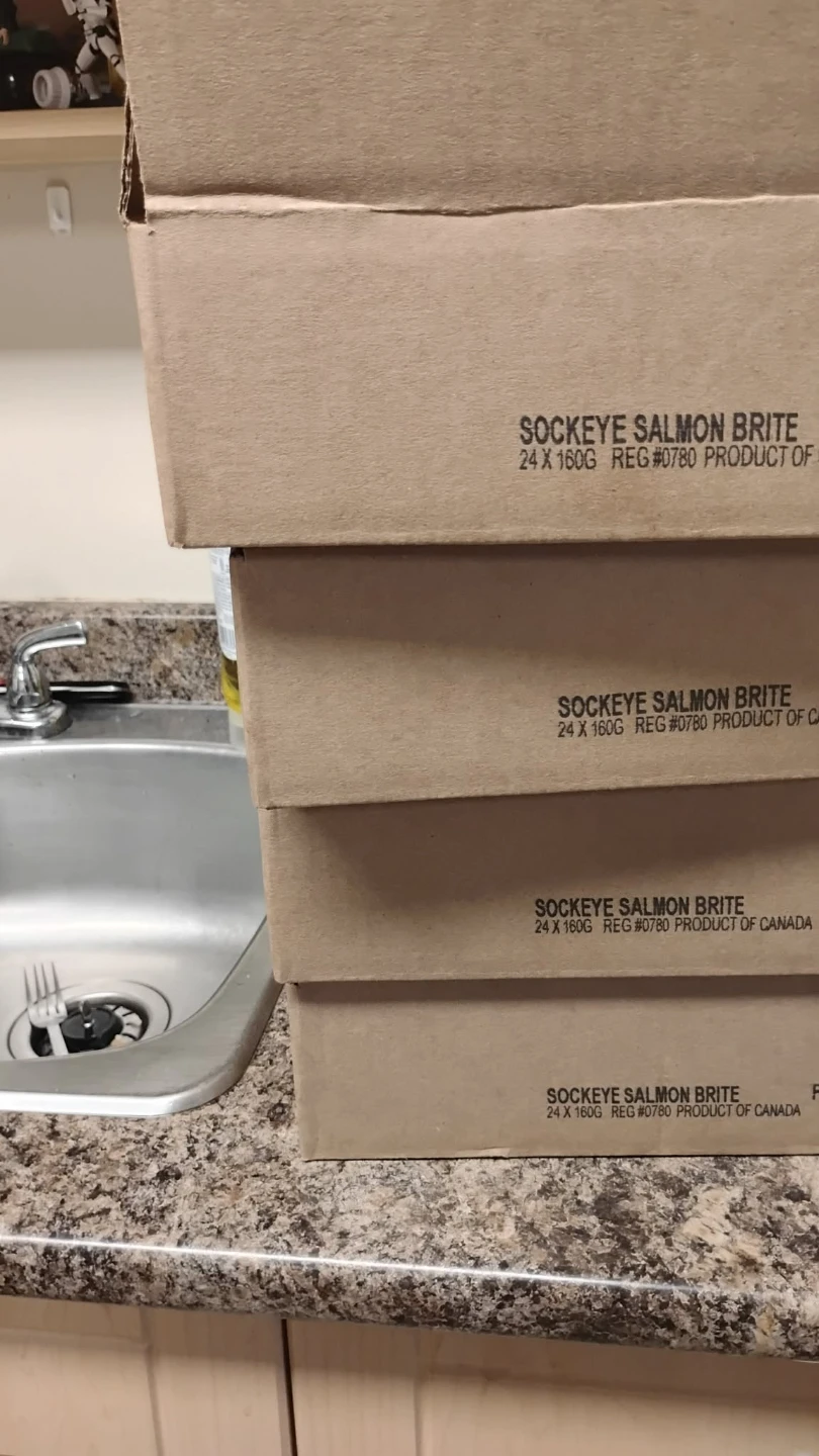 Sockeye Salmon Brite Cans - 24 x 160g - photo 3