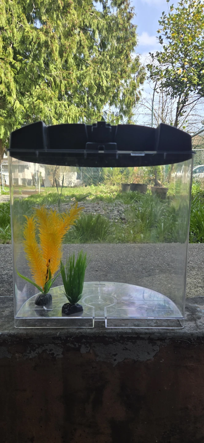 Top Fin 3.5 Gallon Aquascape Aquarium
