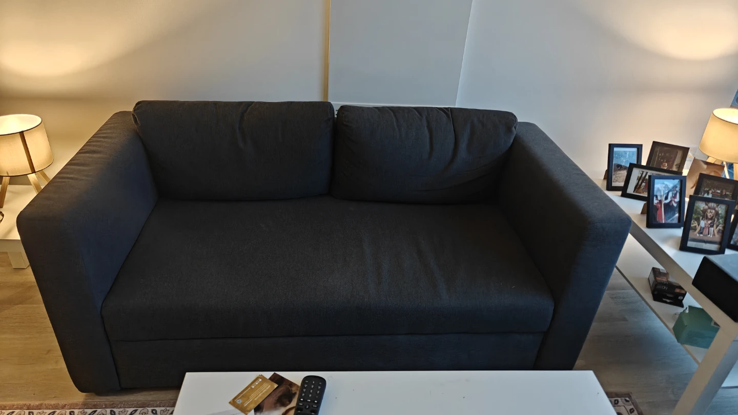 IKEA SKONABACK SleeperSofa