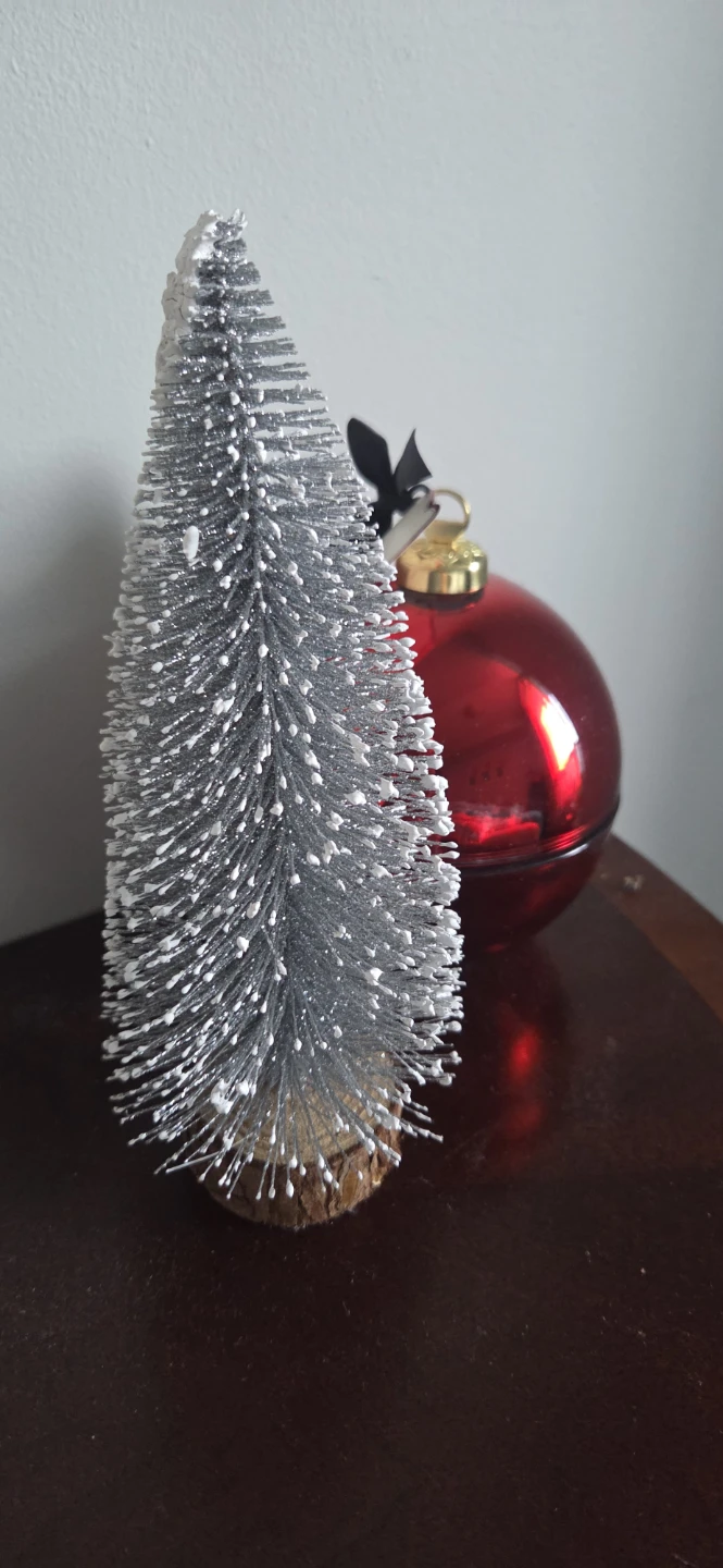 Frosted Christmas Decoration