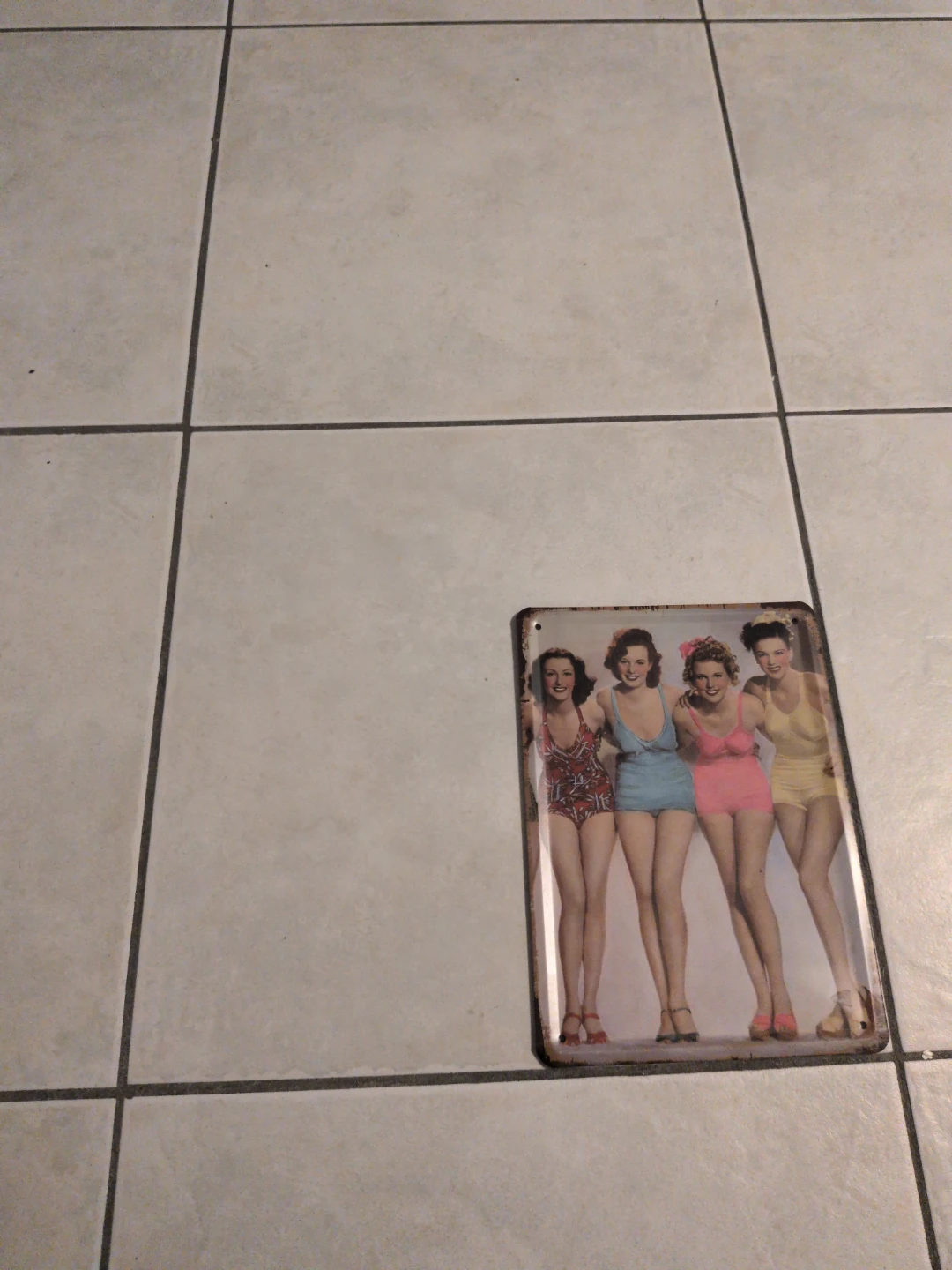 Vintage Style Pin-Up Girls Metal Sign
