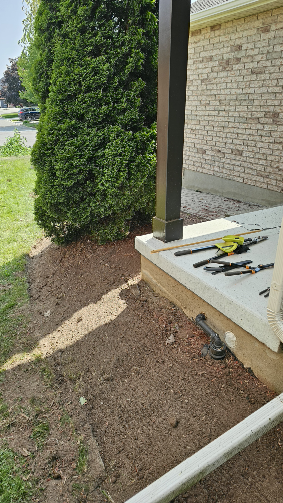 spring cleanup and junk removal - photo 2