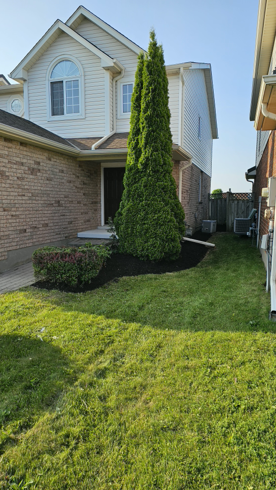 spring cleanup and junk removal - photo 5
