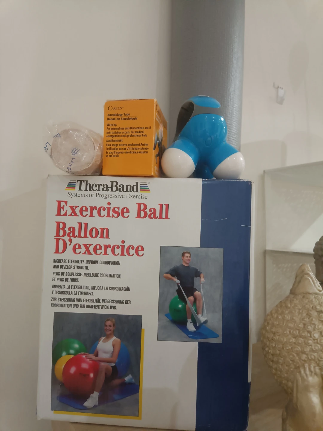 Exercise ball